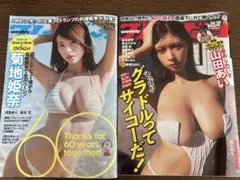 週刊プレイボーイ 2冊セット
