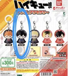 ハイキュー!! めじるしアクセサリー 影山飛雄×3つ