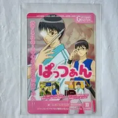 銀魂 志村新八 万事屋 イラストカード キャラクターカード カードガム