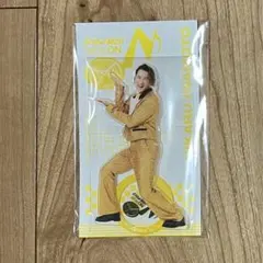 Snow Man Dome Tour ON アクリルスタンド 岩本照さん