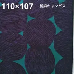 Item thumbnail for item c9c7bc76-949a-4803-b4b0-00319f3e9784