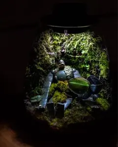 苔テラリウム ロボット兵 シングル、 ダブルセット 心癒す我が家の