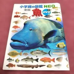2026年最新】小学館の図鑑neo dvdの人気アイテム - メルカリ