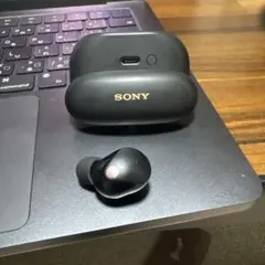 SONYワイヤレスイヤホン本体ブラック SONY WF-1000xm5