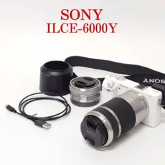 2026年最新】SONYα6000 ILCE-6000Y ダブルズームレンズキットの人気