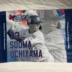 広島東洋カープ 秋山翔吾 300二塁打記念グッズセット - メルカリ