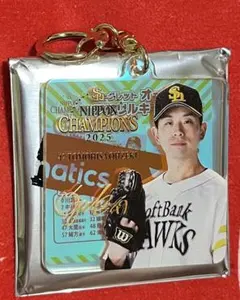 peach様 リクエスト 2点 まとめ商品