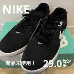 NIKE、スニーカー、ナイキS Bアリウープ、黒、29.0のサムネイル