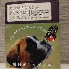 めるもch様 リクエスト 2点 まとめ商品