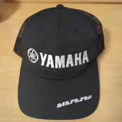 Item thumbnail for item b6314c4f-ec0b-48b8-9c8d-02edeefc3757