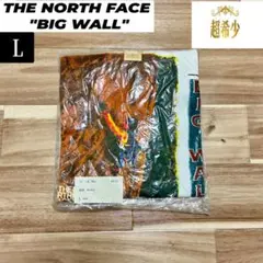 Item thumbnail for item 6b9de18a-cb41-4464-bc1e-7350018124c6