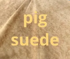 Item thumbnail for item c21d8b4d-facd-48b5-8816-607bfbcd2737