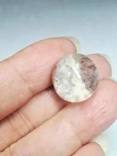 2025年最新】ガーデンスフィアの人気アイテム - メルカリ