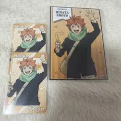 ハイキューコスモワールド　日向翔陽