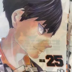 ハイキュー‼︎ JC柄ファイルコレクション　第3弾　25巻