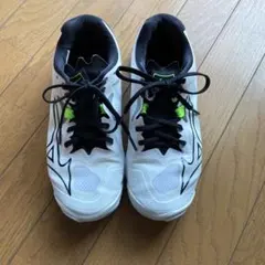 Item thumbnail for item edac7577-b953-4b3d-a83b-48d453408ddd