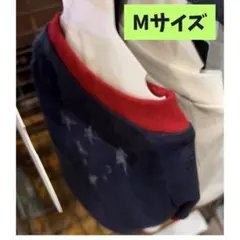 韓国限定 スキズ ヒョンジン GUESS 犬服 ぬいぐるみ Sサイズ skzoo