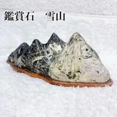 2026年最新】水石の人気アイテム - メルカリ