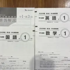 2026年最新】ベネッセ 学力推移 中1の人気アイテム - メルカリ