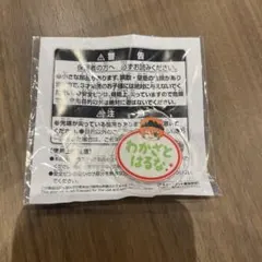 Item thumbnail for item 64b80467-4f0f-43ea-a746-01a11ba8d059