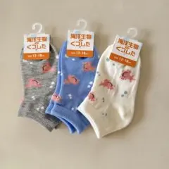 ウーパールーパー 海洋生物靴下 レディースソックス まとめ売り 可愛い 3足
