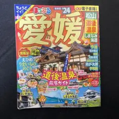 Item thumbnail for item 9d3fd115-eb2d-46a7-b193-c8157f585008