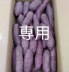 はなちゃん様専用ページです。