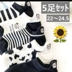 ソックス　5足セットまとめ売り靴下 レディース くるぶし ショートスニーカー