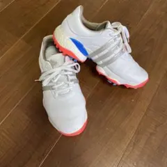 adidas ゴルフシューズ 24cm