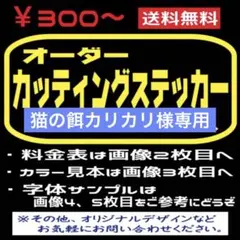 猫の餌カリカリ様専用