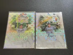 Item thumbnail for item 1ef07188-d27a-4d80-9621-b2d692e1ba09