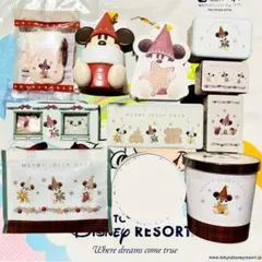 ディズニー⭐️リルリンリン 2025 ディズニークリスマス お菓子セット 10点
