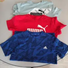 PUMAとadidas Tシャツ3枚セット