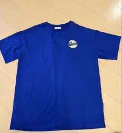 INGNI 1996年 ブレイブハート Tシャツ