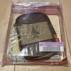 Item thumbnail for item acb3a981-af96-4c95-8112-d23fec6b4c08