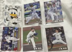 千葉ロッテマリーンズプロ野球 カードセット