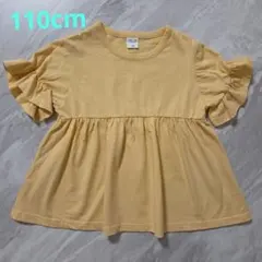 Item thumbnail for item 2f5d0cef-ce6c-4010-88f8-94d76af549ae