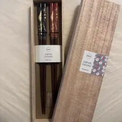 WAKASA 赤.黒富士山 箸セット 夫婦箸