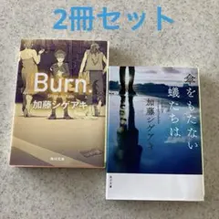 加藤シゲアキBurn.(バーン)、傘を持たない蟻たちは　2冊セット
