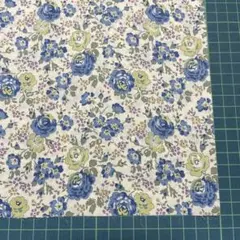 T157 リバティ フェリシテ 77×20cm タナローン 13g