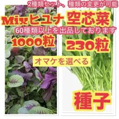 2026年最新】空芯菜 種の人気アイテム - メルカリ