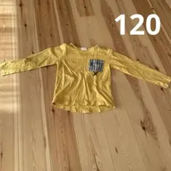 Item thumbnail for item 12005e13-c74b-490f-96f4-486e17324f7a