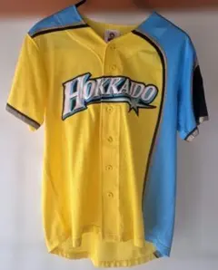 Item thumbnail for item 6d0aa7a8-2127-49d0-8bff-e16108cb6016