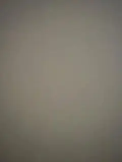 ぱおぉん様専用