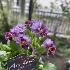 まるまま様 リクエスト 2点 まとめ商品