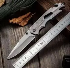 Item thumbnail for item 67a32d36-fce9-43fa-9030-baea658a4211