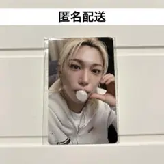 KARMA FANSヨントン フィリックス