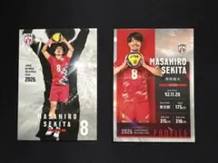 関田誠大 バレーボール男子 日本代表 トレカ 2枚セット