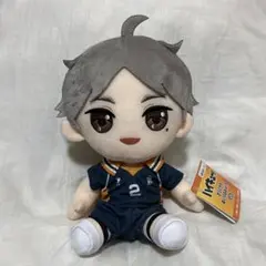 ①① ハイキュー　オリジナルぬいぐるみ　菅原孝支