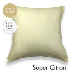 Item thumbnail for item fe6e0fe1-7405-4b16-b224-f89a154bf0be